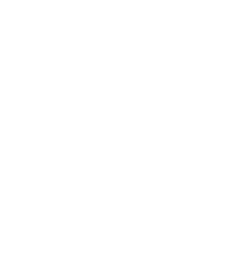 Boomtown Sign Logo